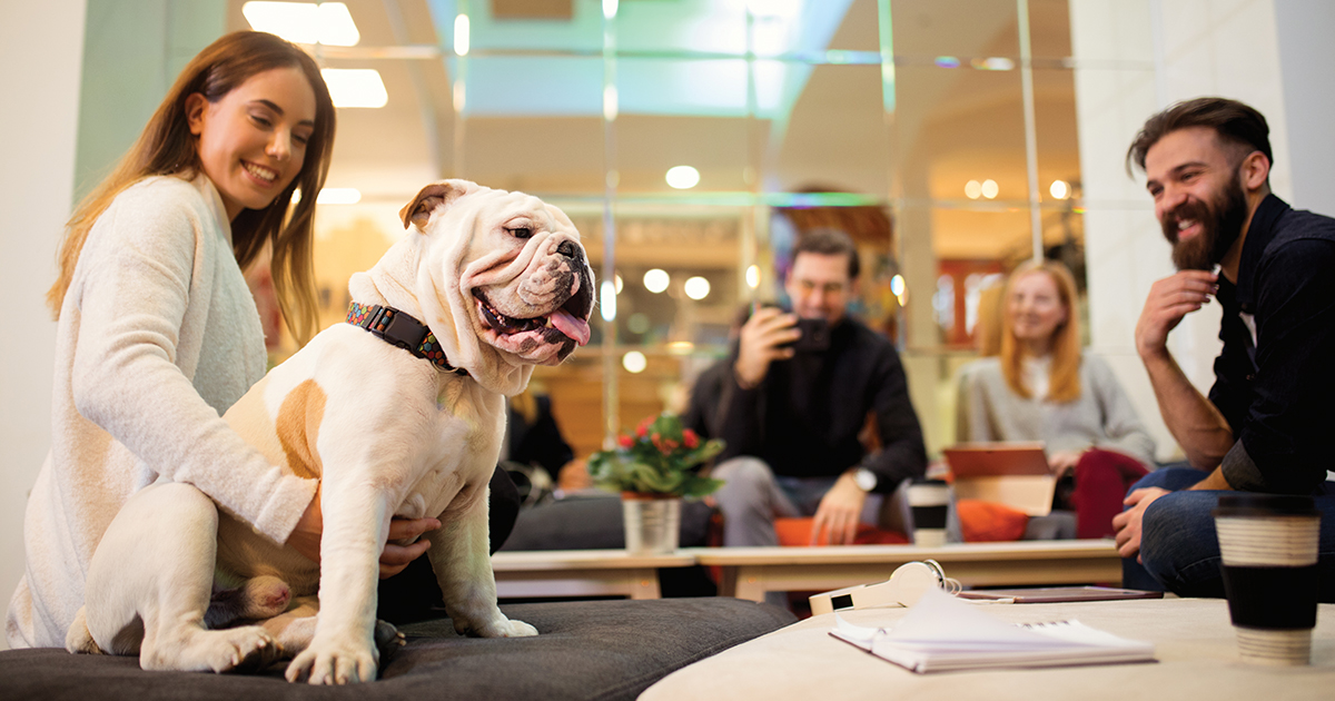 Working K9 to 5” Helps Employers Create Dog-Friendly Offices