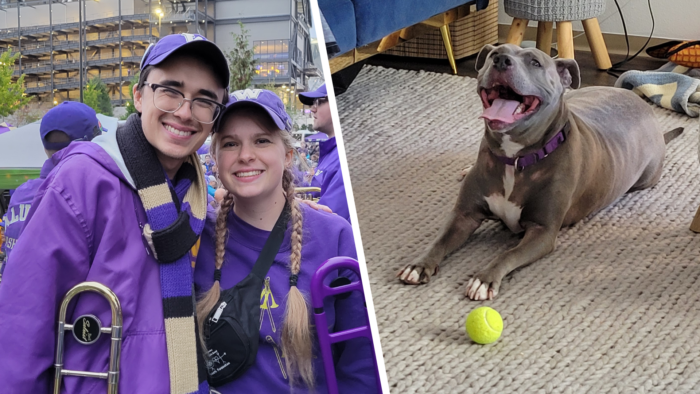 A photo of a man and woman dressed in UW gear next to a photo of a pitbull with a tennis ball