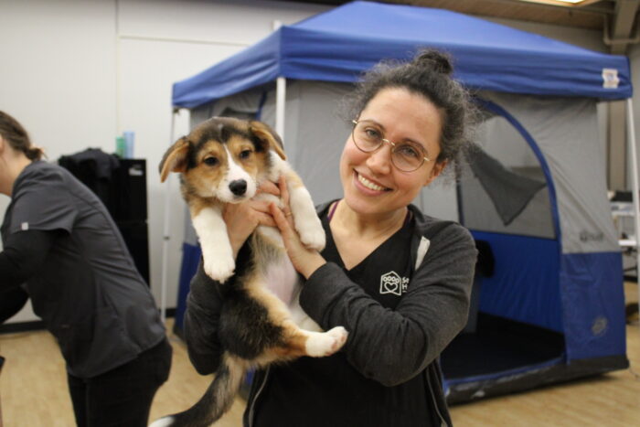 Dr Hadar holds a puppy